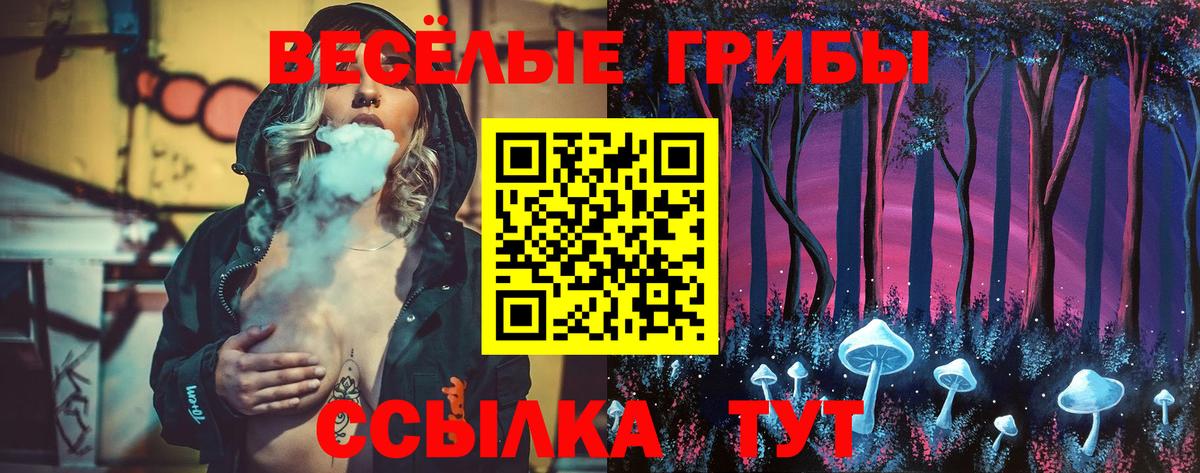 Псилоцибиновые грибы мухоморы Гусь-Хрустальный