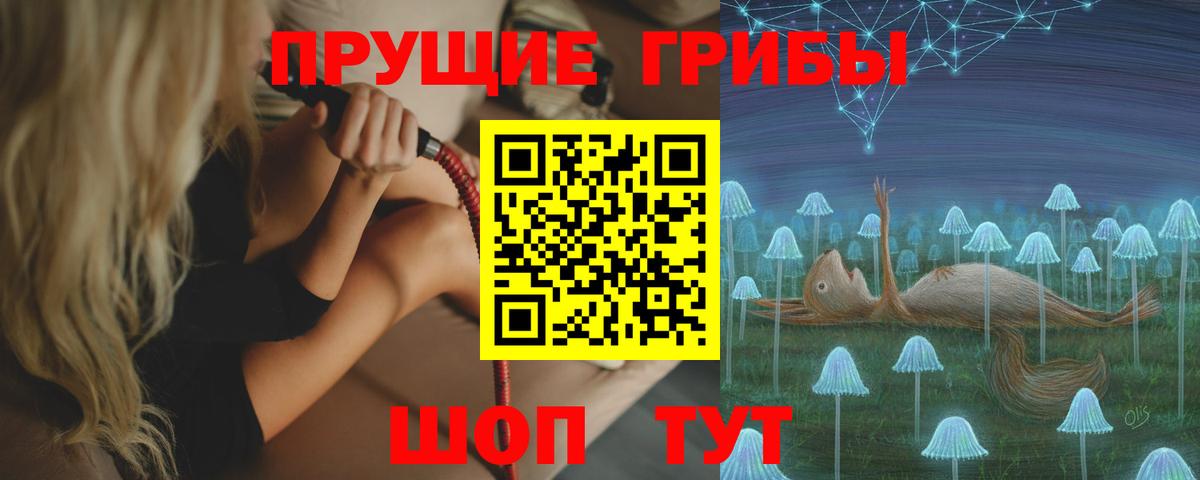 Галлюциногенные грибы прущие грибы  Псилоцибиновые грибы прущие грибы  Вход с VPN  Гусь-Хрустальный 
